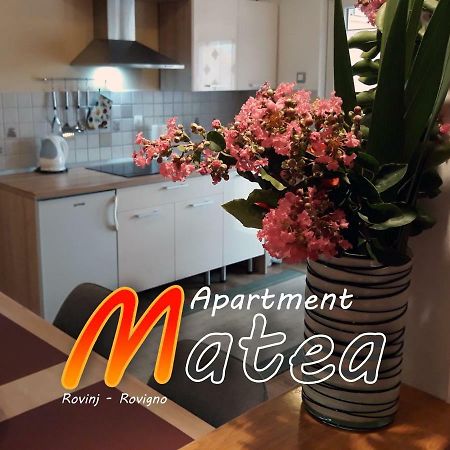 Apartment Matea 罗维尼 外观 照片