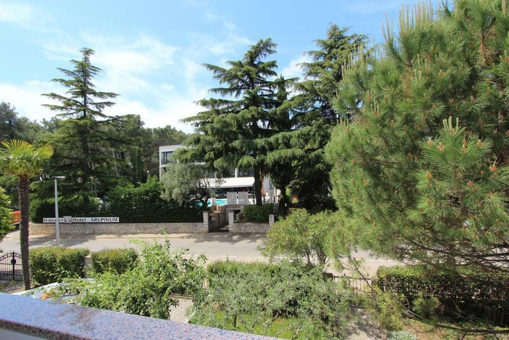 Apartment Matea 罗维尼 外观 照片